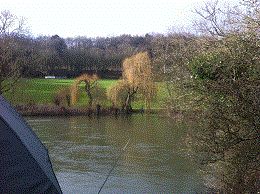 PEG 43 Pictures
